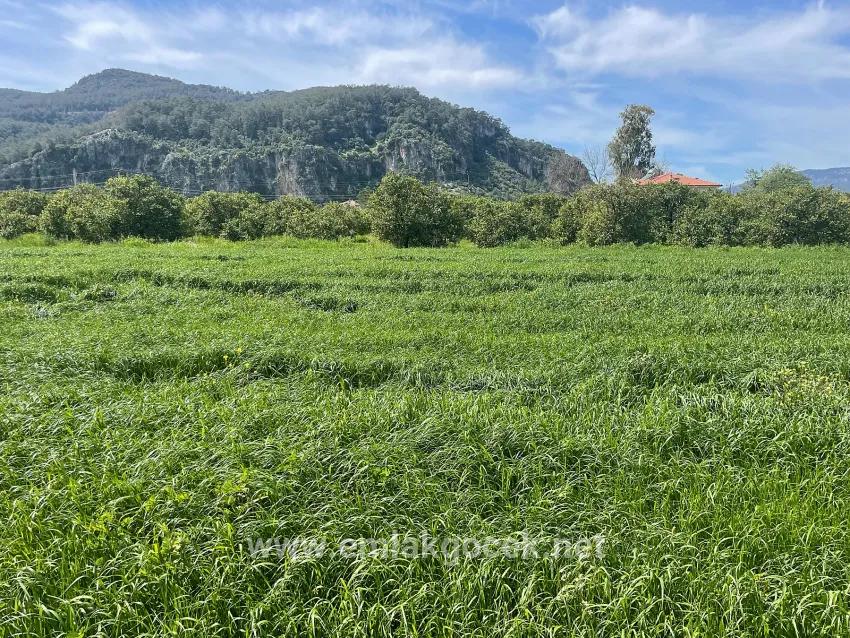Land Zu verkaufen in Okçular Bz. Ortaca - Gehäuse-Zonierung - 736 m²