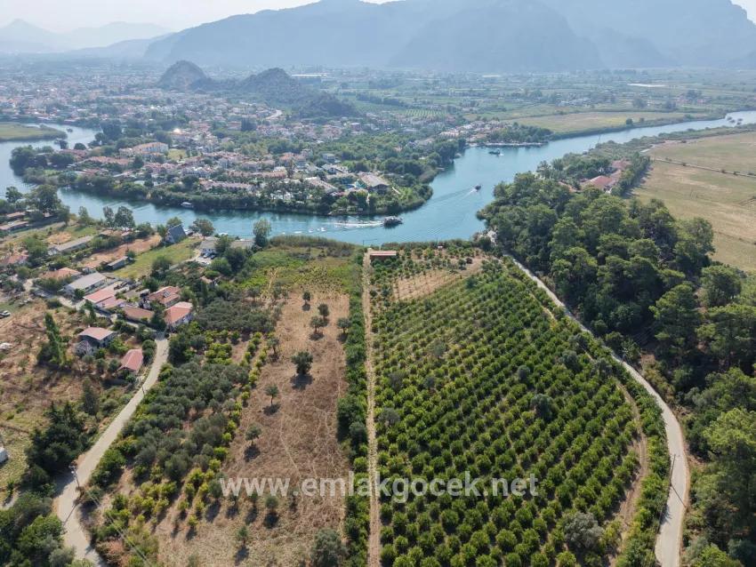 Im Köyceğiz Çandır Mahallesinde kanala sıfır 20.000m2 satılık Feld