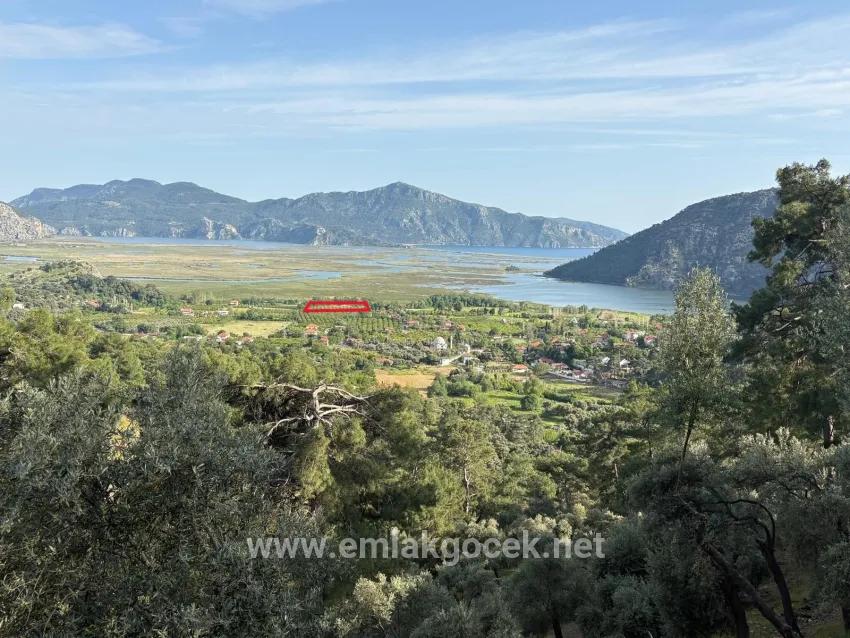 Feld Zu verkaufen in Çandır Bz. Köyceğiz - Feld-Zonierung - 1.252 m²