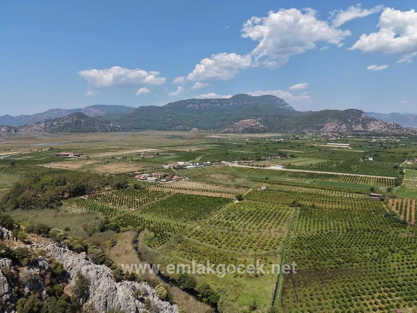 Feld Zu verkaufen in Dalyan Bz. Ortaca - Feld-Zonierung - 20.786 m²
