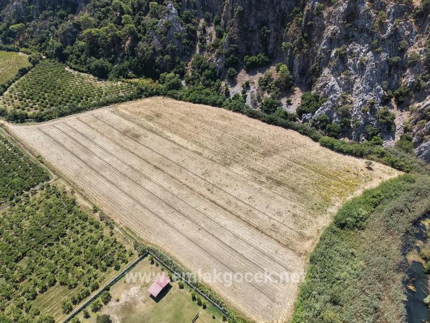 Feld Zu verkaufen in Dalyan Bz. Ortaca - Feld-Zonierung - 20.786 m²