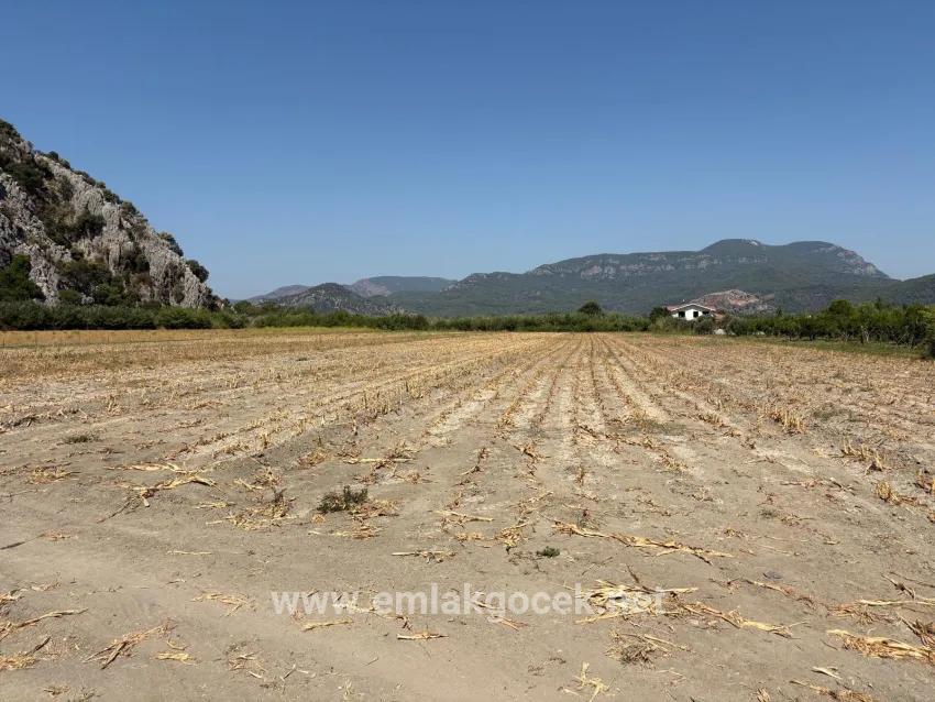 Feld Zu verkaufen in Dalyan Bz. Ortaca - Feld-Zonierung - 20.786 m²