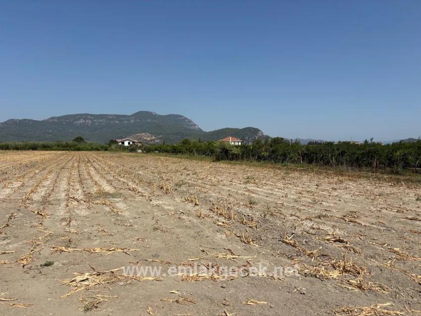 Feld Zu verkaufen in Dalyan Bz. Ortaca - Feld-Zonierung - 20.786 m²