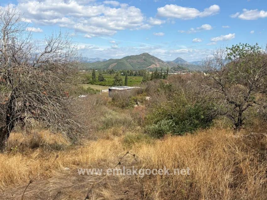 Feld Zu verkaufen in Dalyan Bz. Ortaca - Feld-Zonierung - 5.000 m²