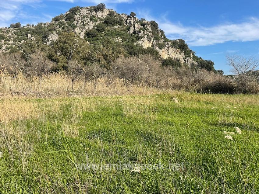 6800 M² Großes Grundstück In Dalyan Zu Verkaufen, 5% Wohnbebauungszone.