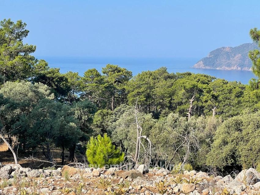 Feld Zu verkaufen in Çandır Bz. Köyceğiz - Gehäuse-Zonierung - 10.481 m²