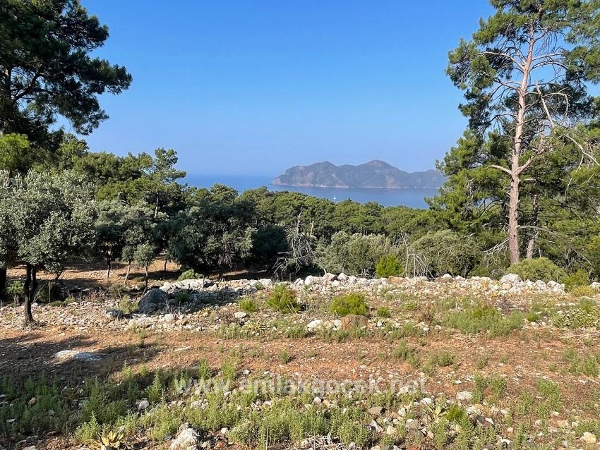 Feld Zu verkaufen in Çandır Bz. Köyceğiz - Gehäuse-Zonierung - 10.481 m²