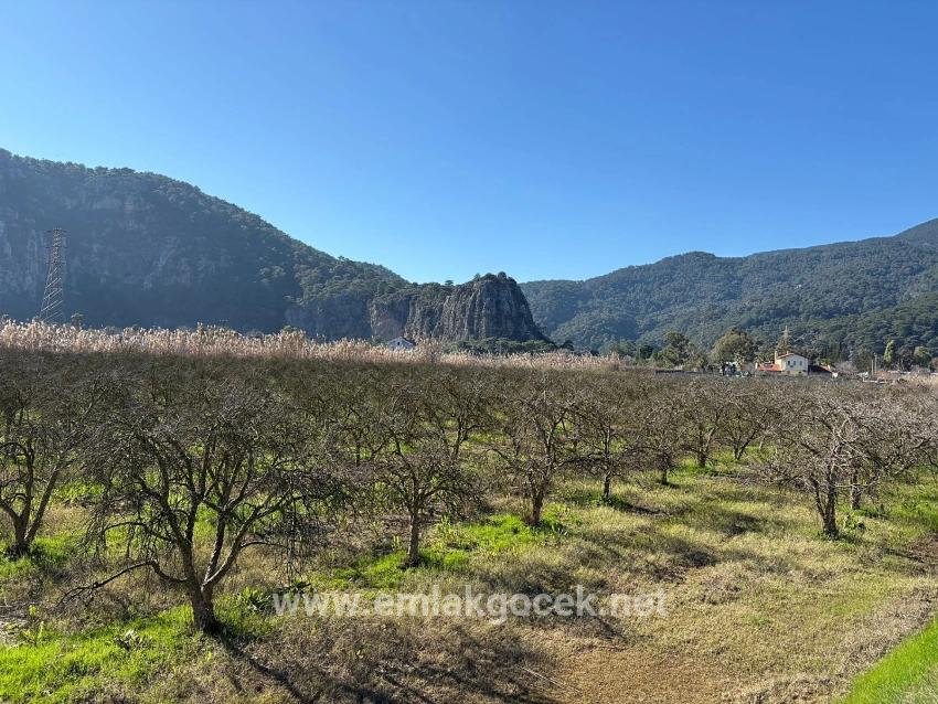 5985 M² Großes Grundstück In Dalyan Zu Verkaufen, Ausgewiesen Für 5 % Weinbau/obstbau.
