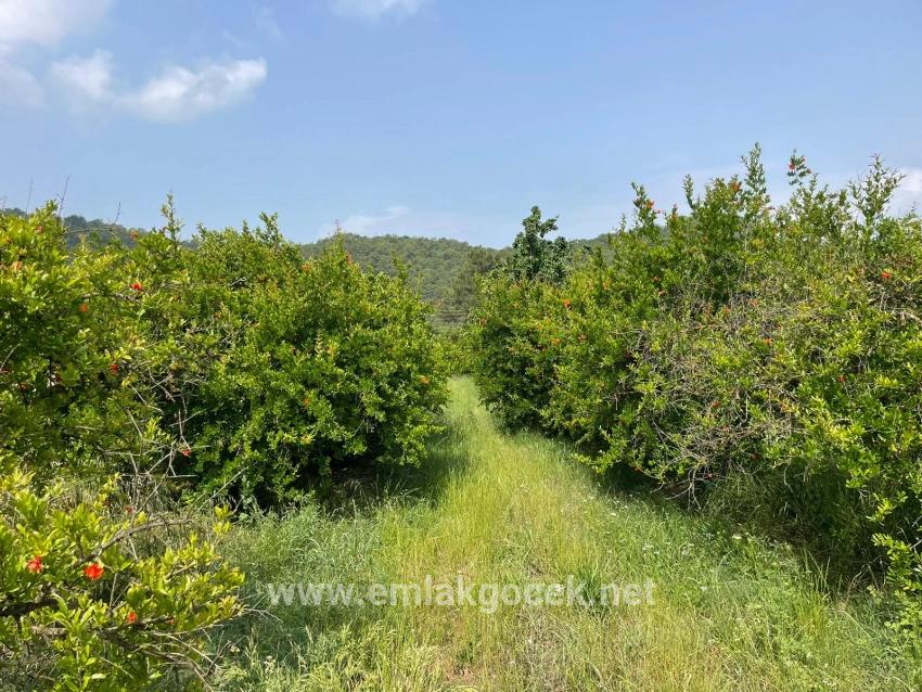 7800 M² Großes Grundstück Zum Verkauf In Gökbel, Neben Der Iztuzu Beach Road