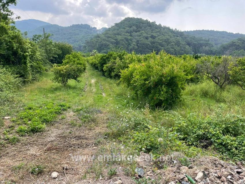 7800 M² Großes Grundstück Zum Verkauf In Gökbel, Neben Der Iztuzu Beach Road