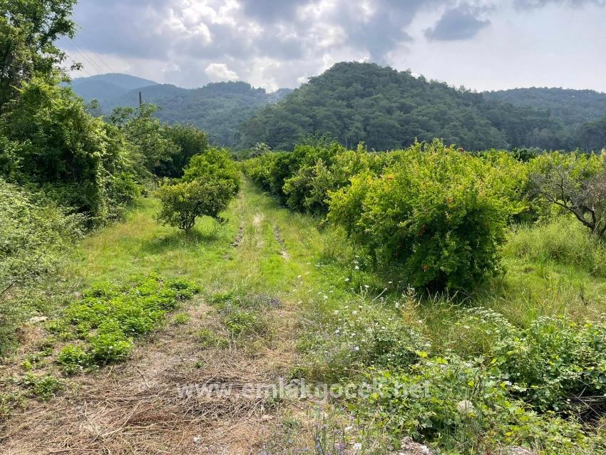 7800 M² Großes Grundstück Zum Verkauf In Gökbel, Neben Der Iztuzu Beach Road