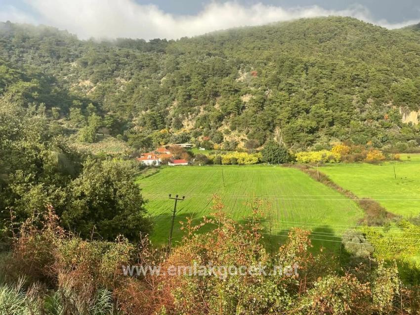 Gelände Zu verkaufen in Çandır Bz. Köyceğiz - Feld-Zonierung - 35.000 m²