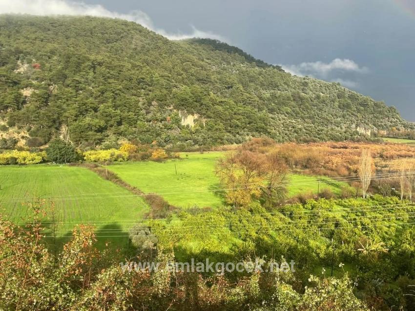 35.000 M² Ackerland Zum Verkauf In Çandır, Köyceğiz.