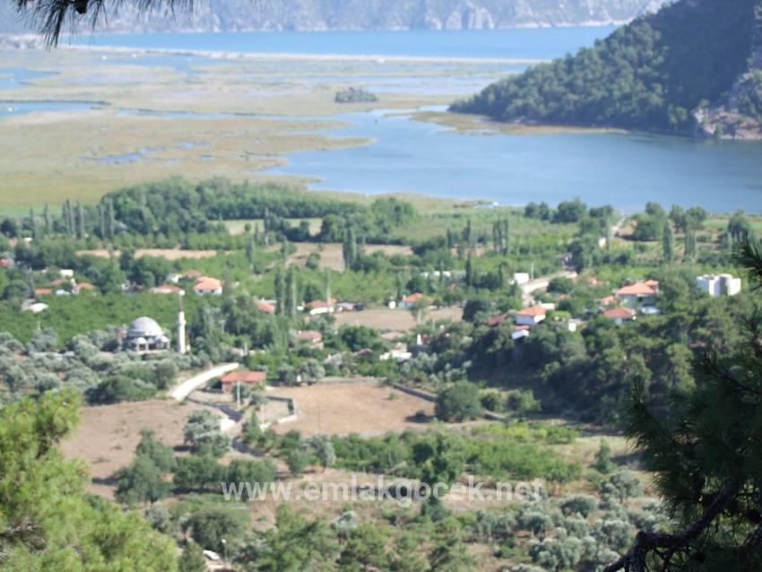 19.334 M² Großes Grundstück Zum Verkauf In Çandır, Köyceğiz.