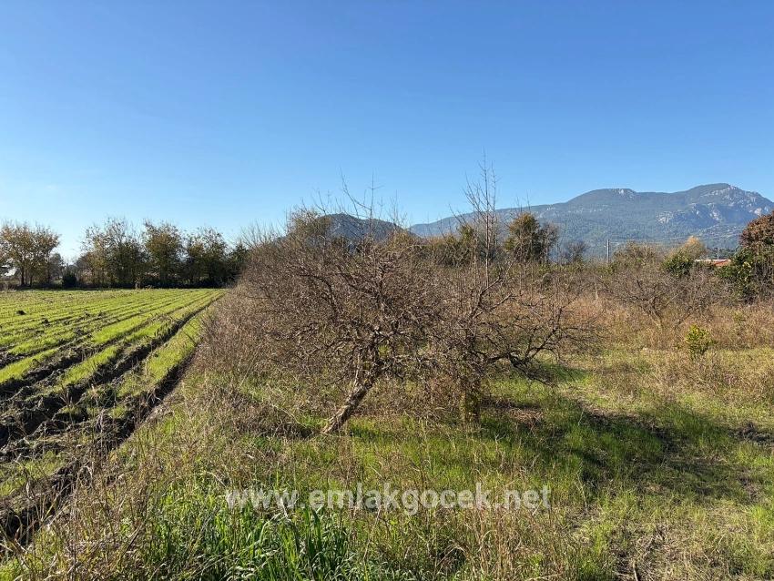 Feld Zu verkaufen in Dalyan Bz. Ortaca - Feld-Zonierung - 4.541 m²