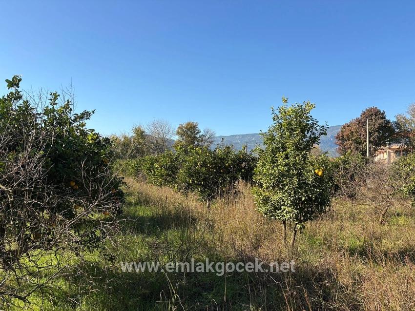 Feld Zu verkaufen in Dalyan Bz. Ortaca - Feld-Zonierung - 4.541 m²