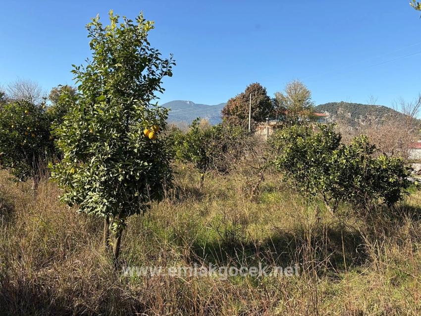 Feld Zu verkaufen in Dalyan Bz. Ortaca - Feld-Zonierung - 4.541 m²