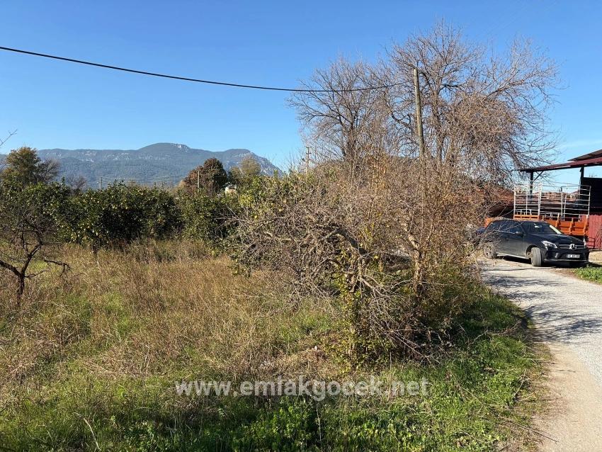 Feld Zu verkaufen in Dalyan Bz. Ortaca - Feld-Zonierung - 4.541 m²