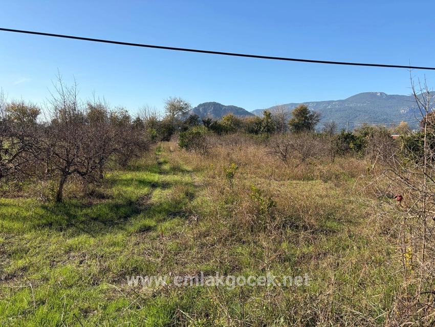 Feld Zu verkaufen in Dalyan Bz. Ortaca - Feld-Zonierung - 4.541 m²
