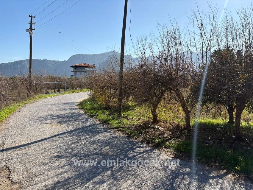 Feld Zu verkaufen in Dalyan Bz. Ortaca - Feld-Zonierung - 4.541 m²