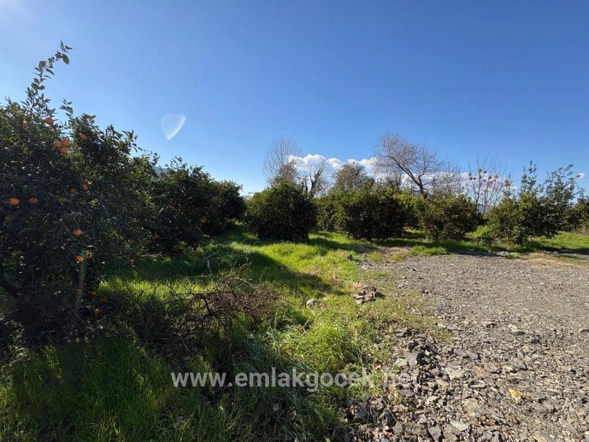 Land Zu verkaufen in Okçular Bz. Ortaca - Gehäuse-Zonierung - 4.326 m²