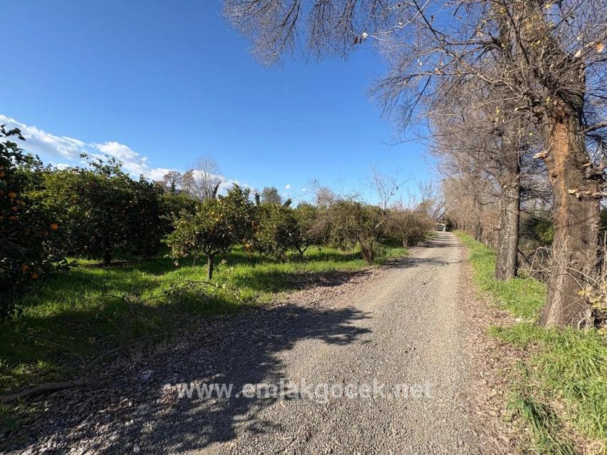 Land Zu verkaufen in Okçular Bz. Ortaca - Gehäuse-Zonierung - 4.326 m²