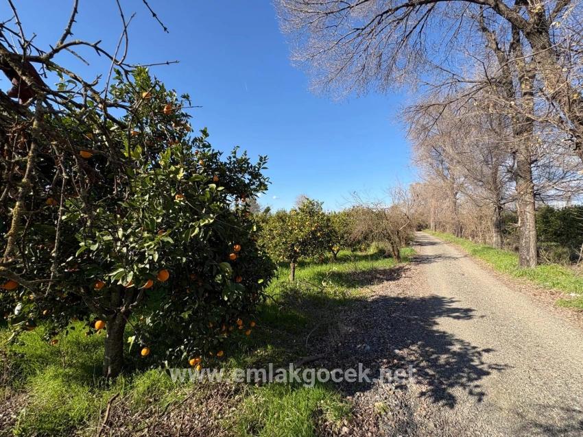 Land Zu verkaufen in Okçular Bz. Ortaca - Gehäuse-Zonierung - 4.326 m²