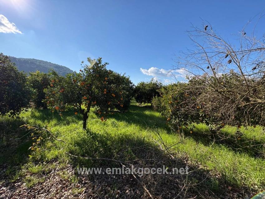 Land Zu verkaufen in Okçular Bz. Ortaca - Gehäuse-Zonierung - 4.326 m²