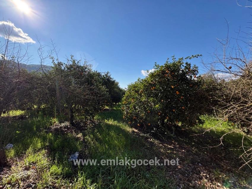 Land Zu verkaufen in Okçular Bz. Ortaca - Gehäuse-Zonierung - 4.326 m²