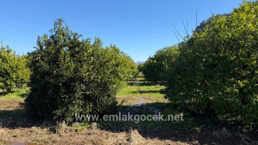 2.218m2 Grundstück Zum Verkauf In Okçular Marmarlı