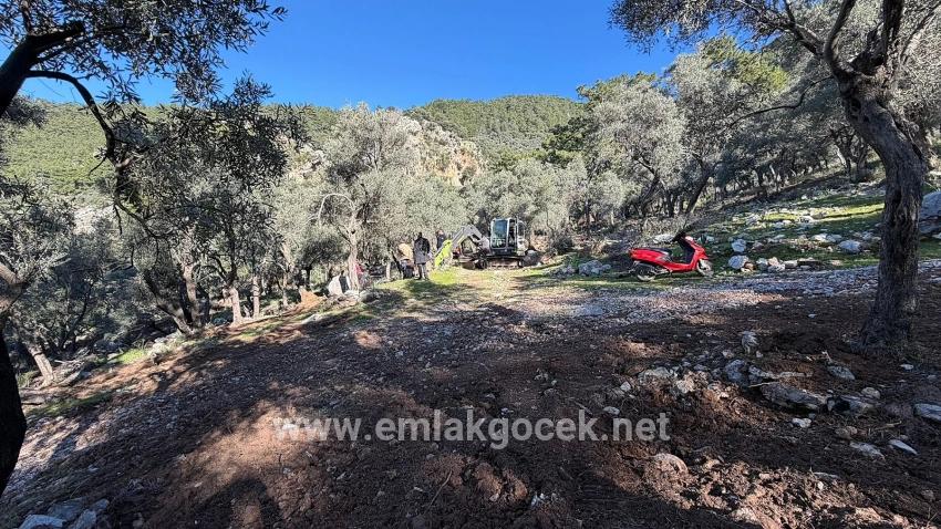 2b-feld Von 5715 M2 Zum Verkauf Mit Vollem Meerblick In Çandır