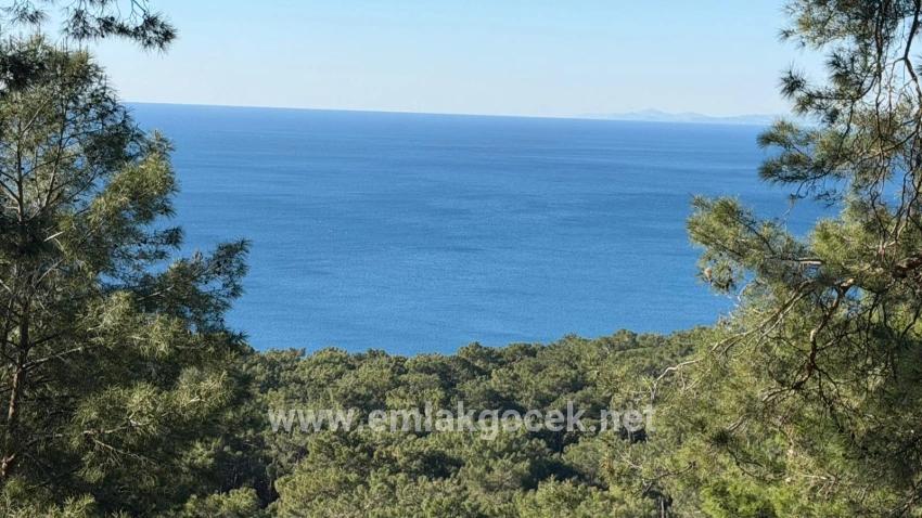 2b-feld Von 5715 M2 Zum Verkauf Mit Vollem Meerblick In Çandır
