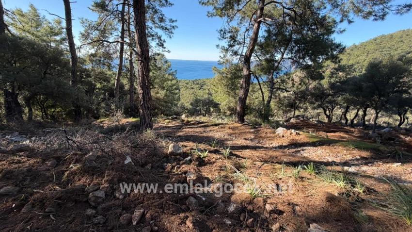 Feld Zu verkaufen in Çandır Bz. Köyceğiz - Gehäuse-Zonierung - 5.715 m²