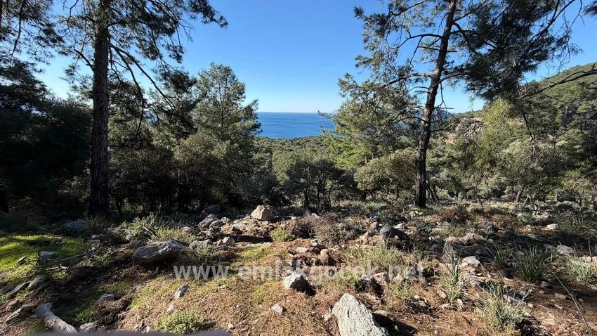 2b-feld Von 5715 M2 Zum Verkauf Mit Vollem Meerblick In Çandır