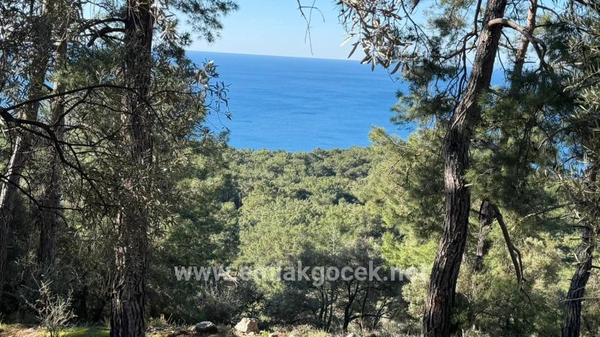 Feld Zu verkaufen in Çandır Bz. Köyceğiz - Gehäuse-Zonierung - 5.715 m²