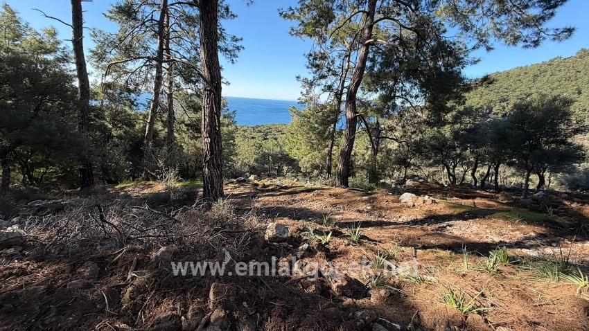 2b-feld Von 5715 M2 Zum Verkauf Mit Vollem Meerblick In Çandır