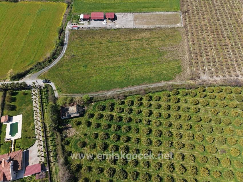 Weinberg & garten Zu verkaufen in Dalyan Bz. Ortaca - Weinberg & garten-Zonierung - 17.550 m²