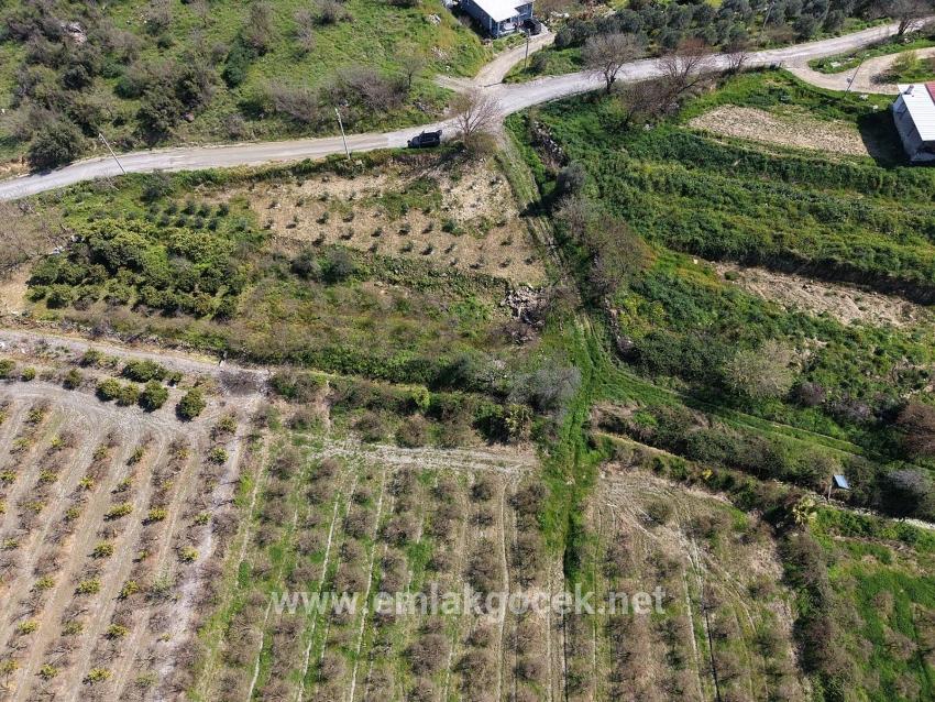 16.710 M² Granatapfelgarten Zum Verkauf Mit Seeblick In Eskiköy