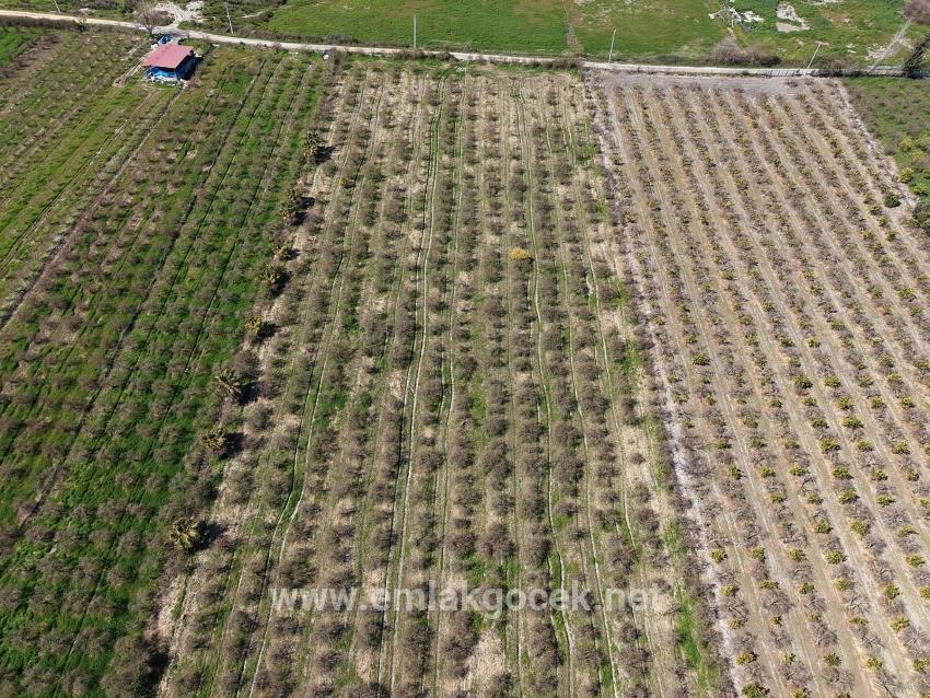 16.710 M² Granatapfelgarten Zum Verkauf Mit Seeblick In Eskiköy