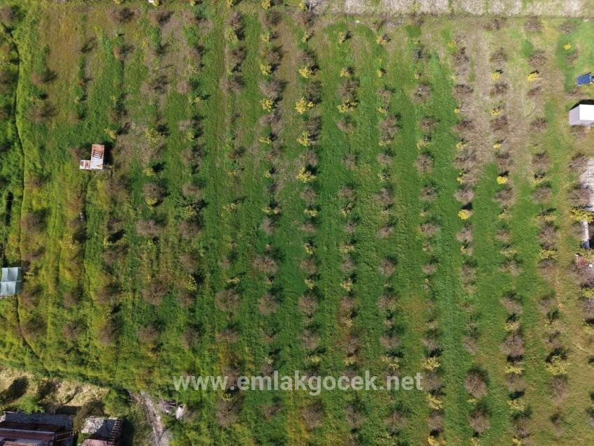 Tourismusorientiertes Unternehmen Auf Einem 11.000 M² Großen Grundstück In Eskiköy Zu Verkaufen.