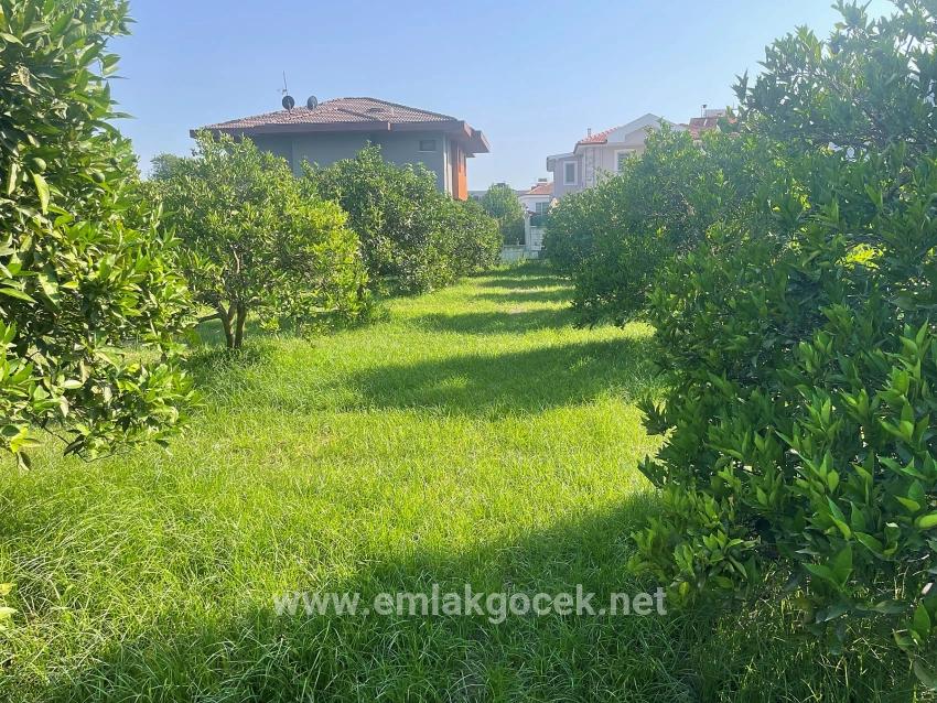 722m2 Grundstück Zum Verkauf In Dalyan Gülpınar