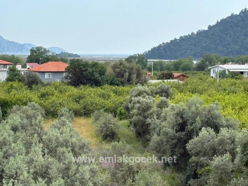 Feld Zu verkaufen in Çandır Bz. Köyceğiz - Feld-Zonierung - 1.721 m²