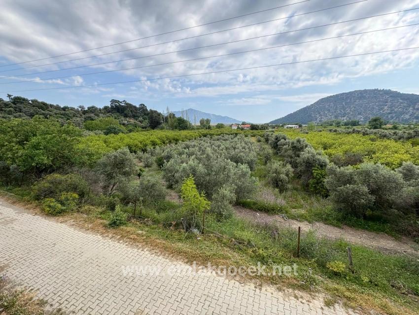 Feld Zu verkaufen in Çandır Bz. Köyceğiz - Feld-Zonierung - 1.721 m²