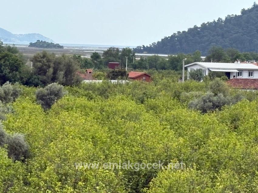 Feld Zu verkaufen in Çandır Bz. Köyceğiz - Feld-Zonierung - 1.721 m²