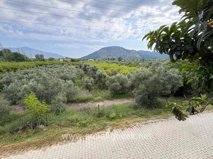 Feld Zu verkaufen in Çandır Bz. Köyceğiz - Feld-Zonierung - 1.721 m²