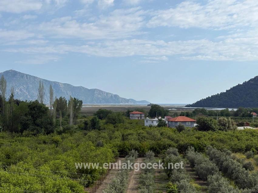 Feld Zu verkaufen in Çandır Bz. Köyceğiz - Feld-Zonierung - 1.721 m²