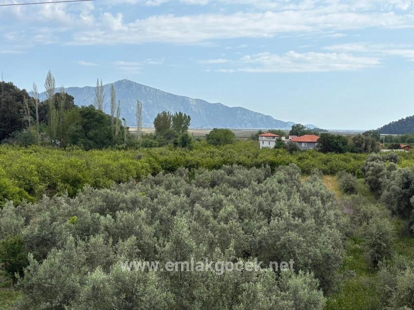 Feld Zu verkaufen in Çandır Bz. Köyceğiz - Feld-Zonierung - 1.721 m²