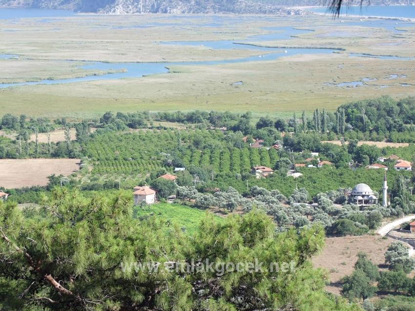 1252m2 Grundstück Zum Verkauf Mit Seeblick In Çandır