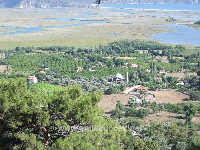 1252m2 Grundstück Zum Verkauf Mit Seeblick In Çandır