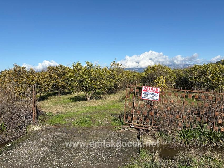 Feld Zu verkaufen in Tepearası Bz. Ortaca - Weinberg & garten-Zonierung - 23.000 m²